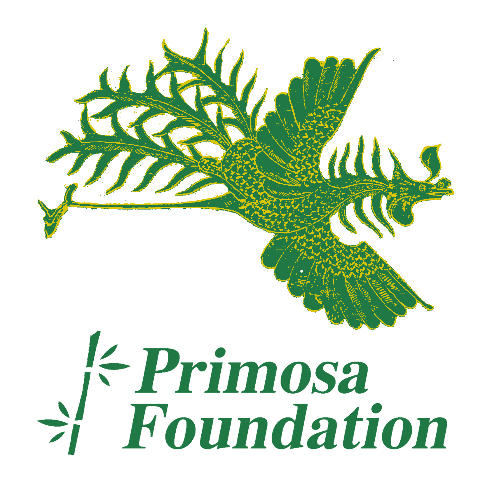 Introducing, Primosa Foundation