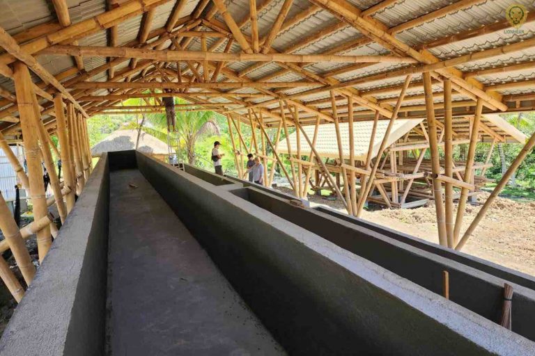 New Bamboo Treatment Facility in Maguindanao to Support Mindanao Sustainable Housing Effort