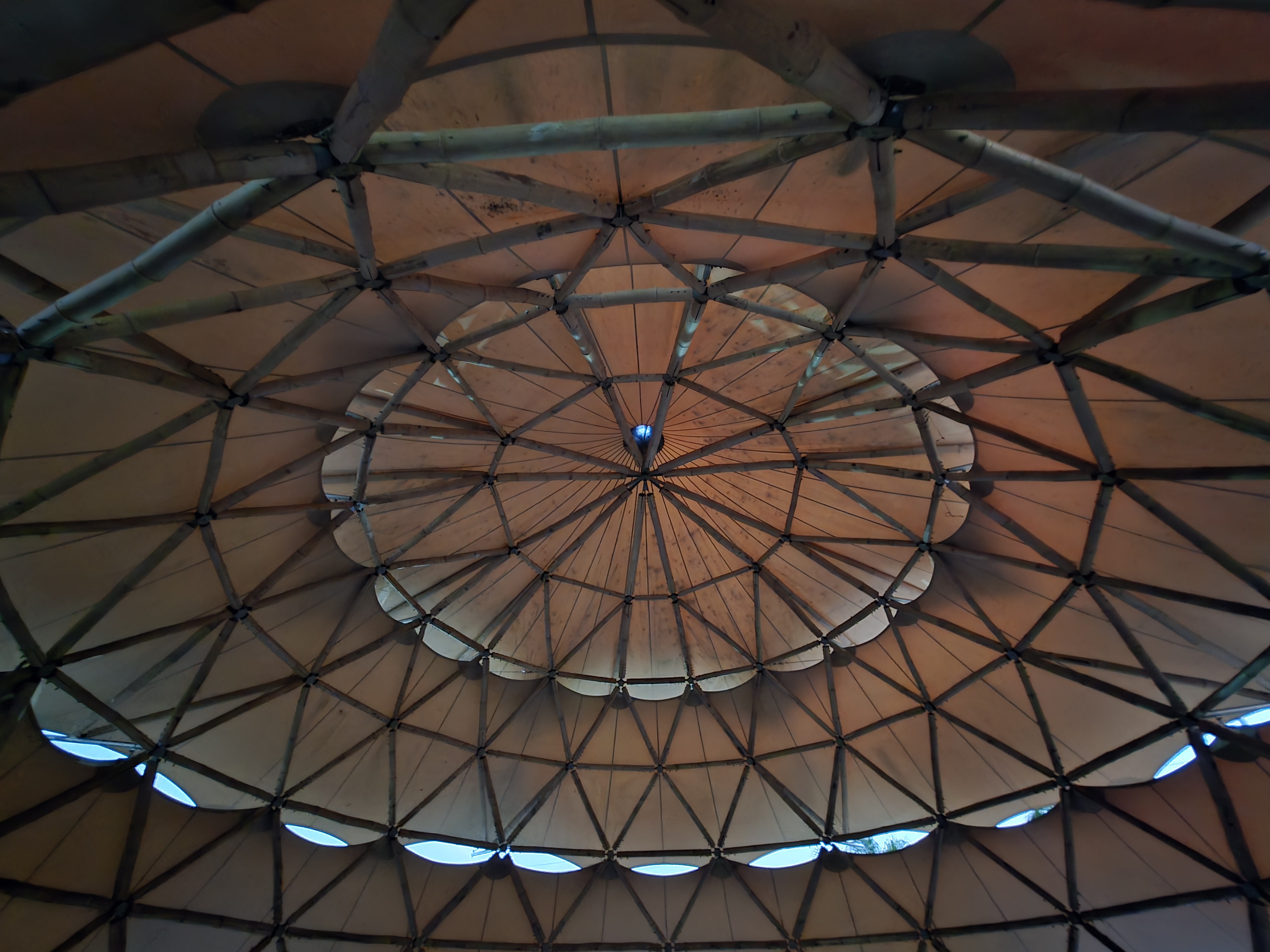 Looking up at the bamboo lattice from inside